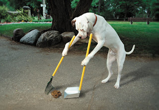 good_20dog.jpg