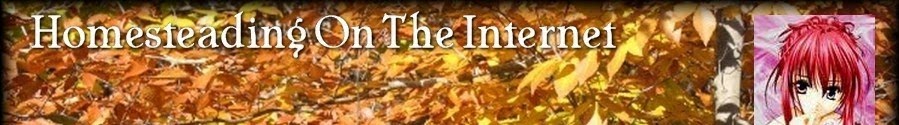 Homesteading On The Internet