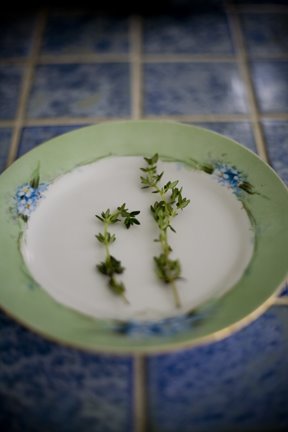 [IMG_1247.jpg]