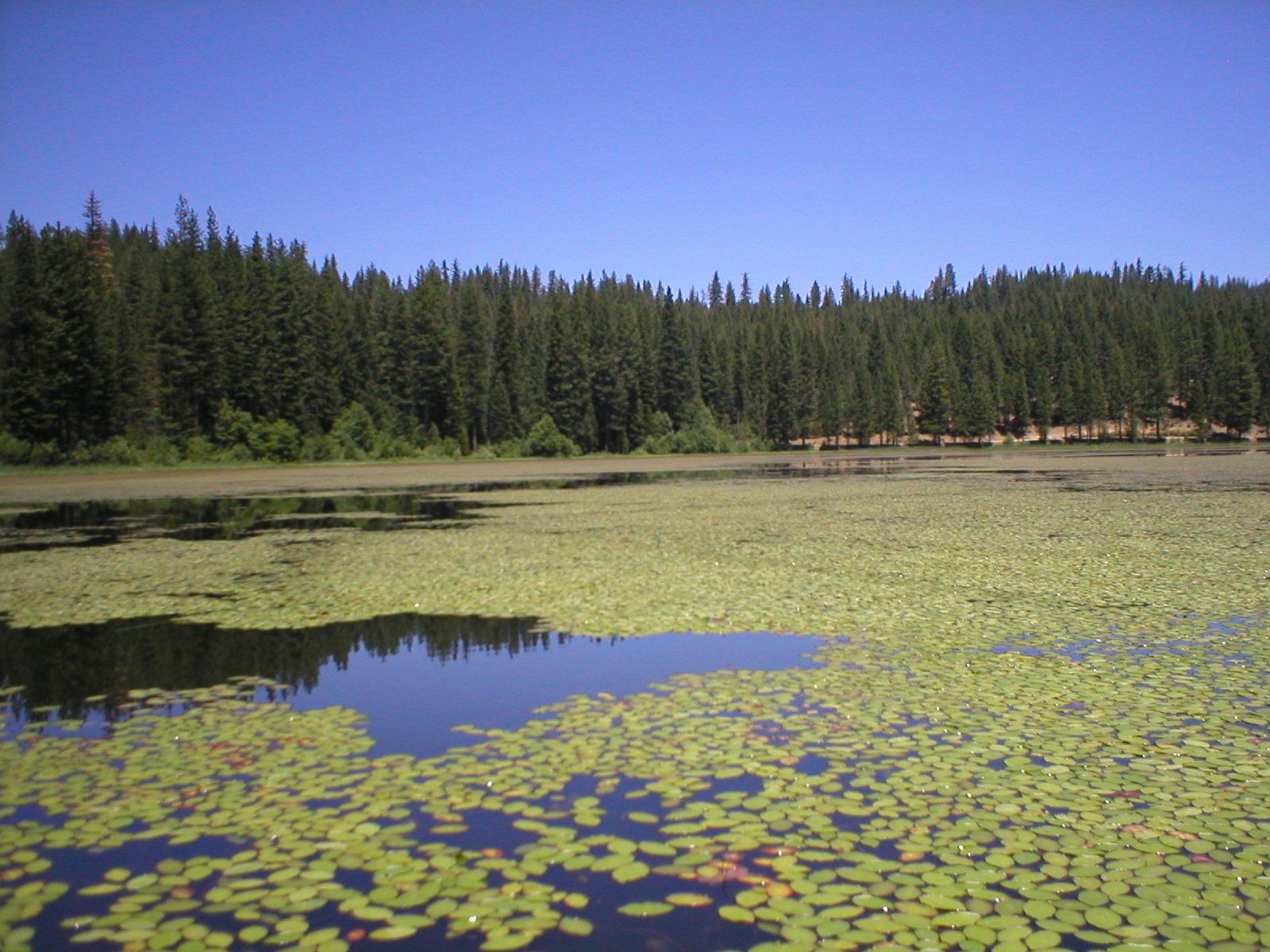 Our views of Northern California Snake Lake in Plumas County