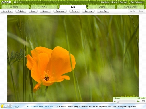[picnik_photo_editing.jpg]