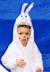 The White Rabbit...