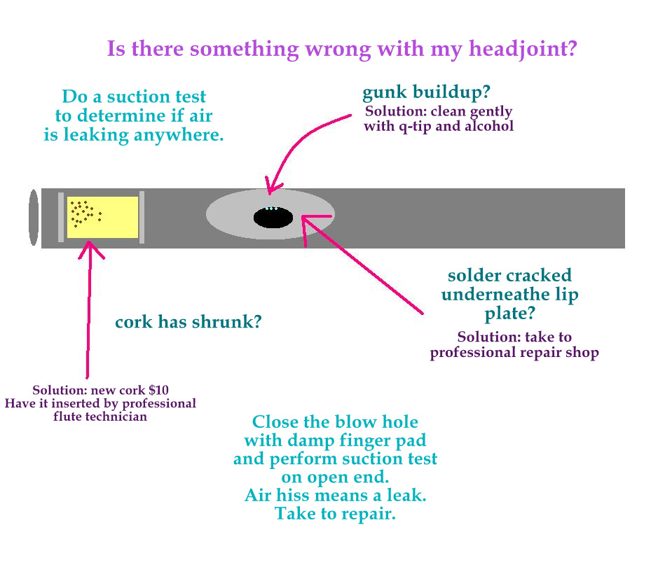 Jennifer Cluff How to clean and repair a flute? Take it to the shop.