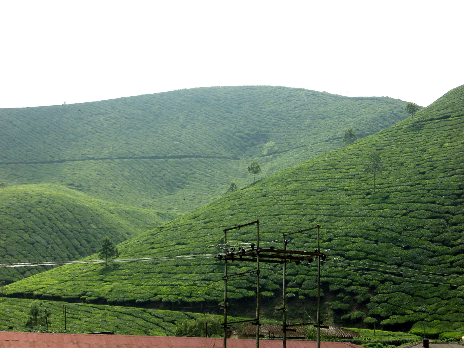 Ebharat Darshan Munnar