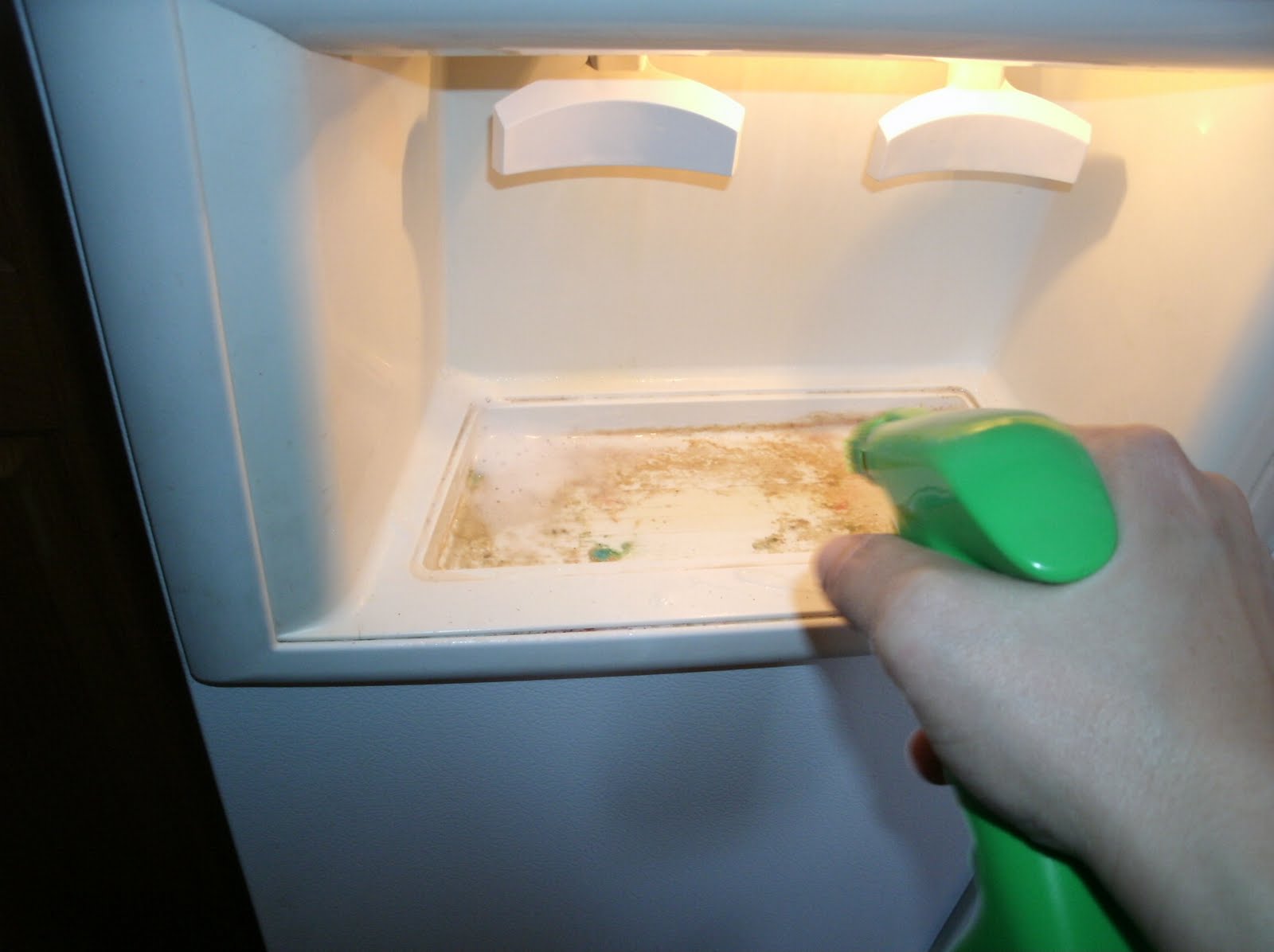 Mom All Day Lime Away and hard water stains in fridge!