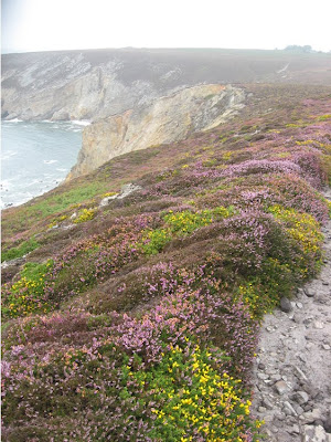 Presqu'île de Crozon