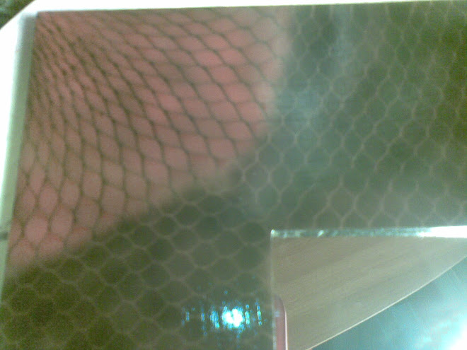 SNAKE SKIN