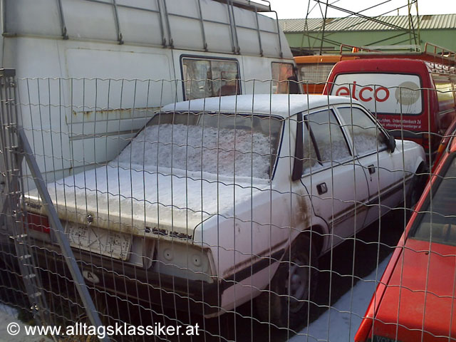 [peugeot-505-weiss-01.jpg]