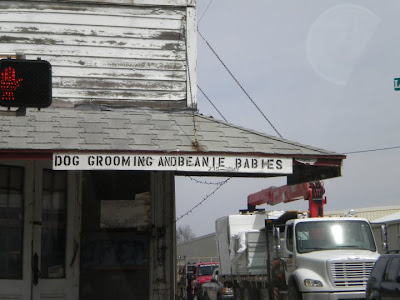 Dog Grooming Terre Haute Dog Grooming Terre Haute