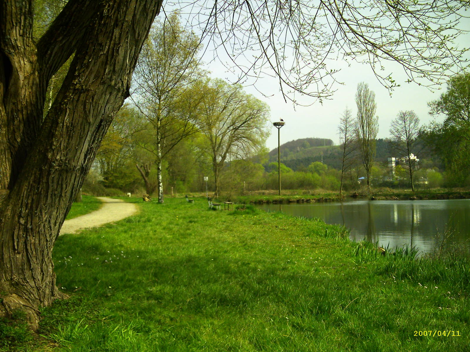 [Beedner++Störche.jpg]