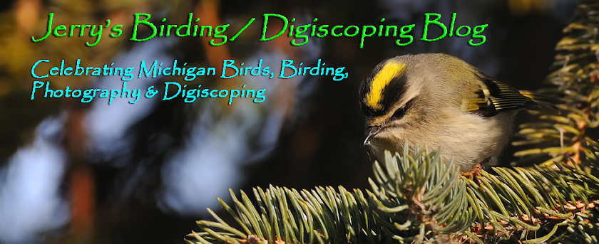 Jerry's Birding / Digiscoping Blog
