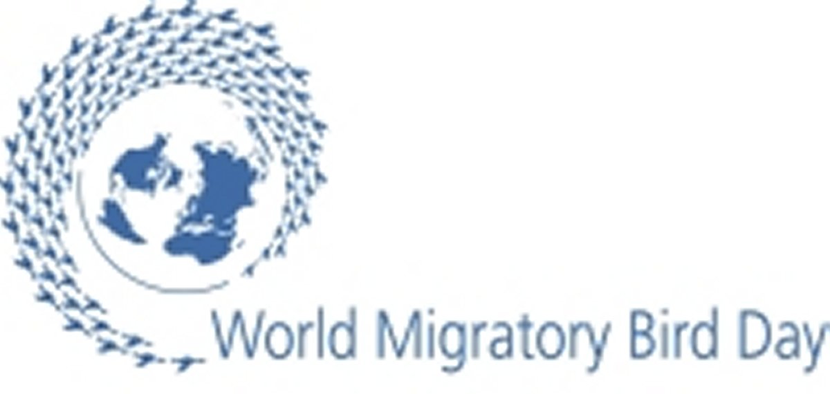 [DIA+MUNDIAL+DAS+AVES+M..jpg]