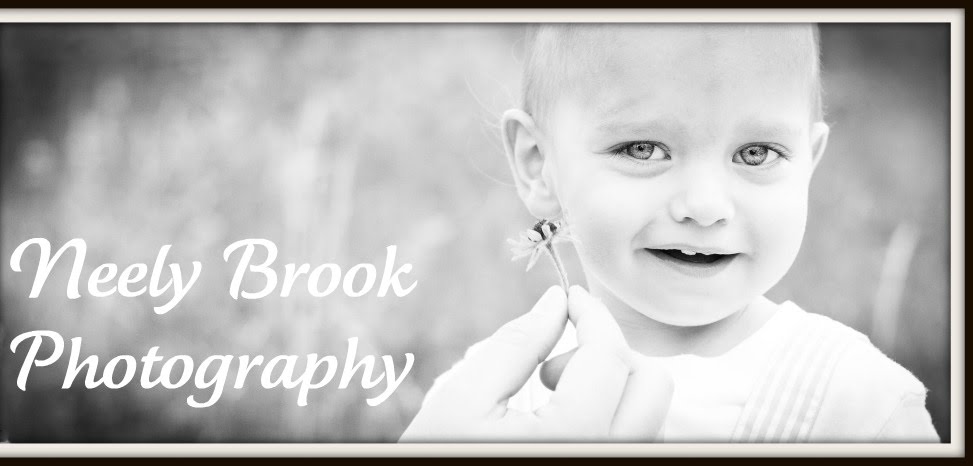 Neely Brook Photography