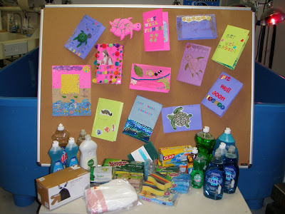 sea turtles gifts