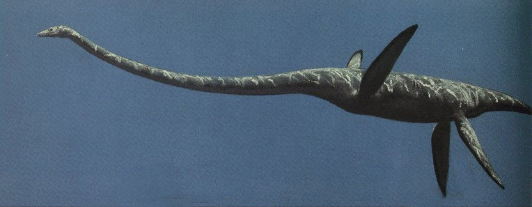 [Elasmosaur.jpg]