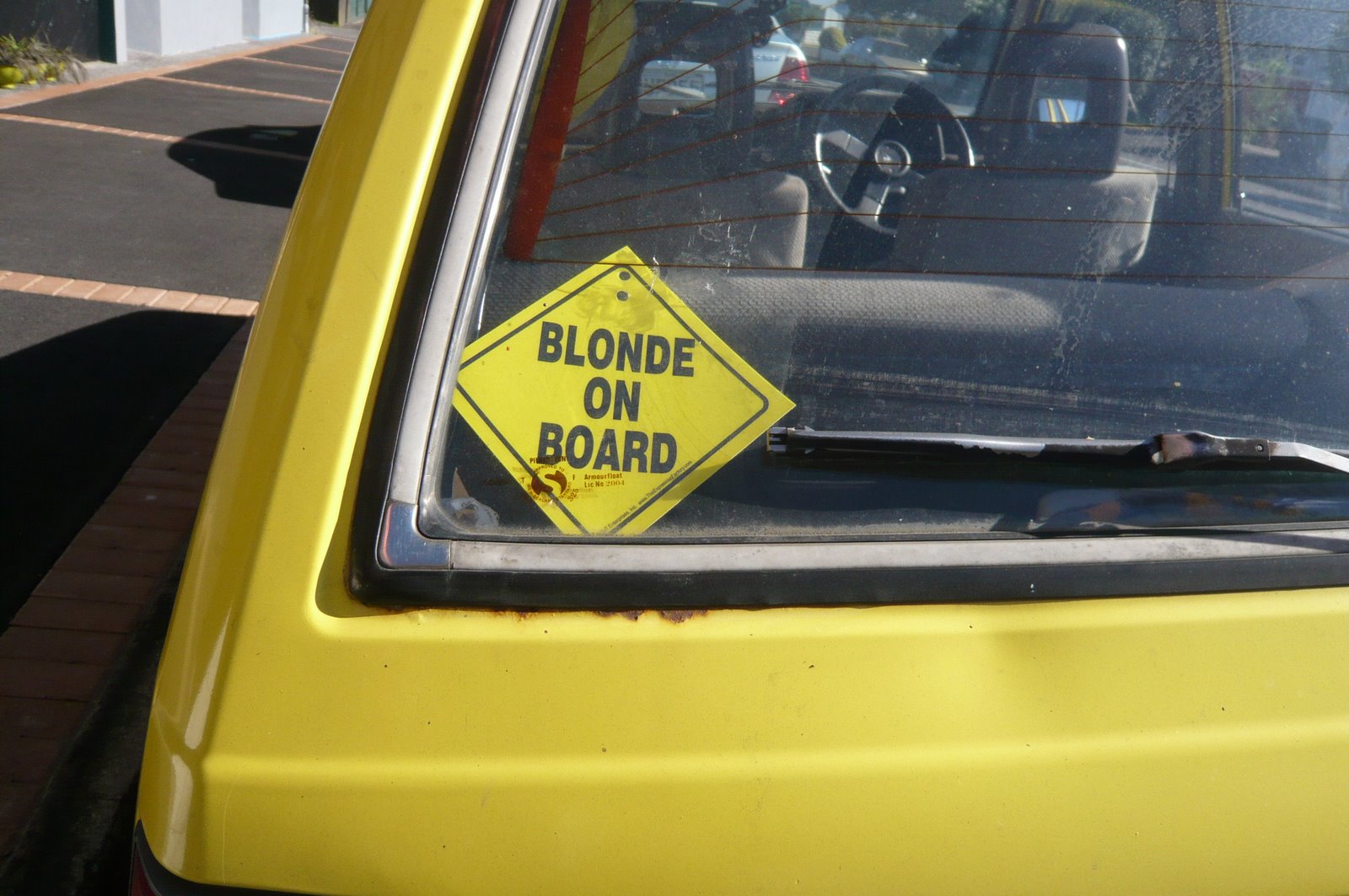 [Blonde+on+board.JPG]