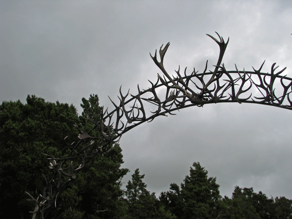 [Antler-arch.gif]