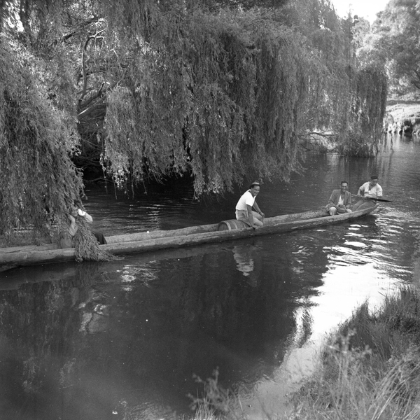 [Taheke-Canoe-in-river.jpg]
