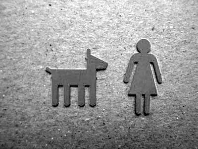 [Paper-clips-mono.jpg]