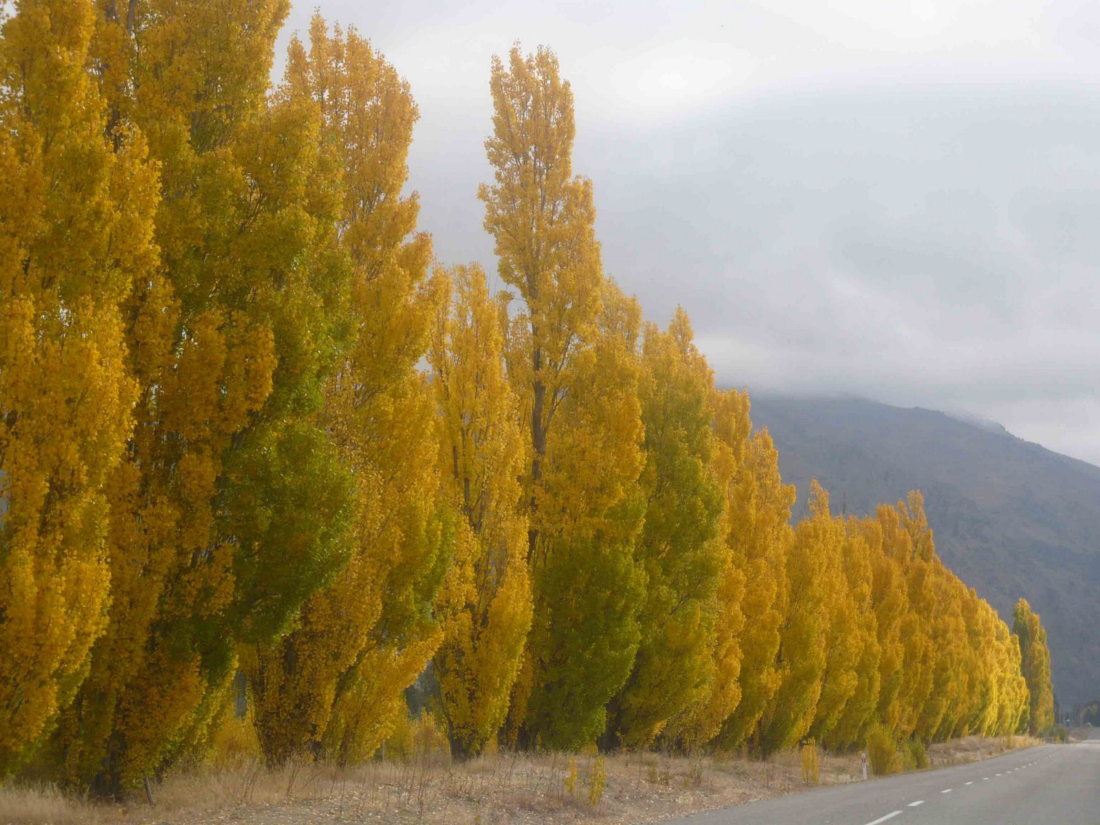 [Autumn-Leaves-Cromwell.jpg]