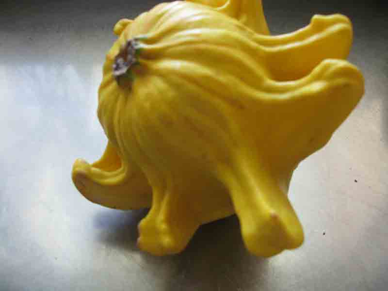 [gourd.jpg]