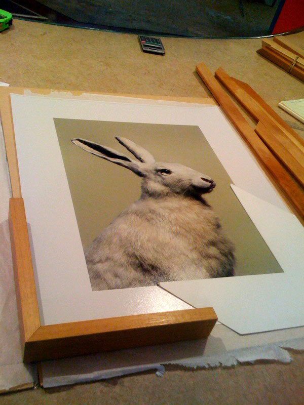 [Hare-framing.jpg]