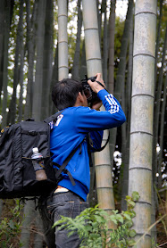 hutan bambu hijau kamera nikon d200