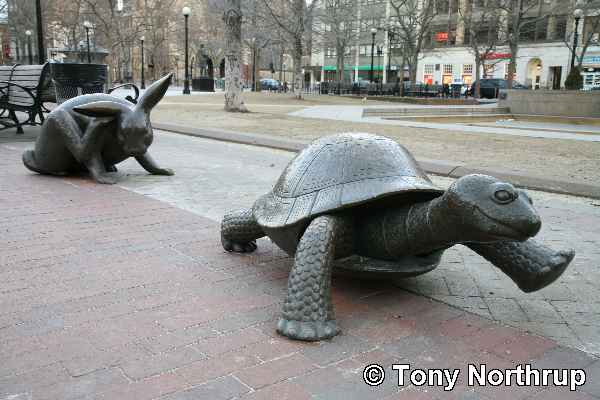 [Turtle-and-Rabbit-Statues.jpg]