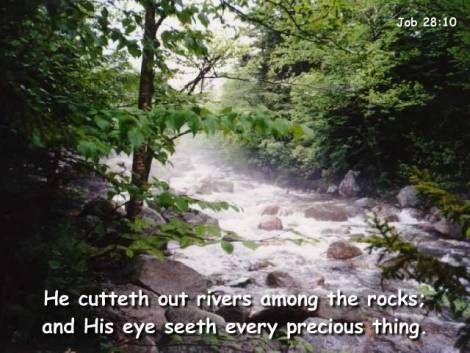 beautiful Nature background Verses of the bible Wallpaper