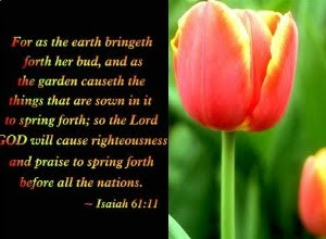 desktop roses background verses from the bible Image