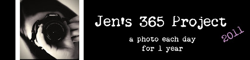Jen's 365 Project