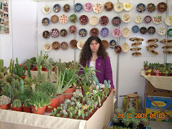 Expo primavera año 2009