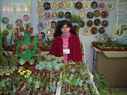 Participación en Expo Primavera 2010