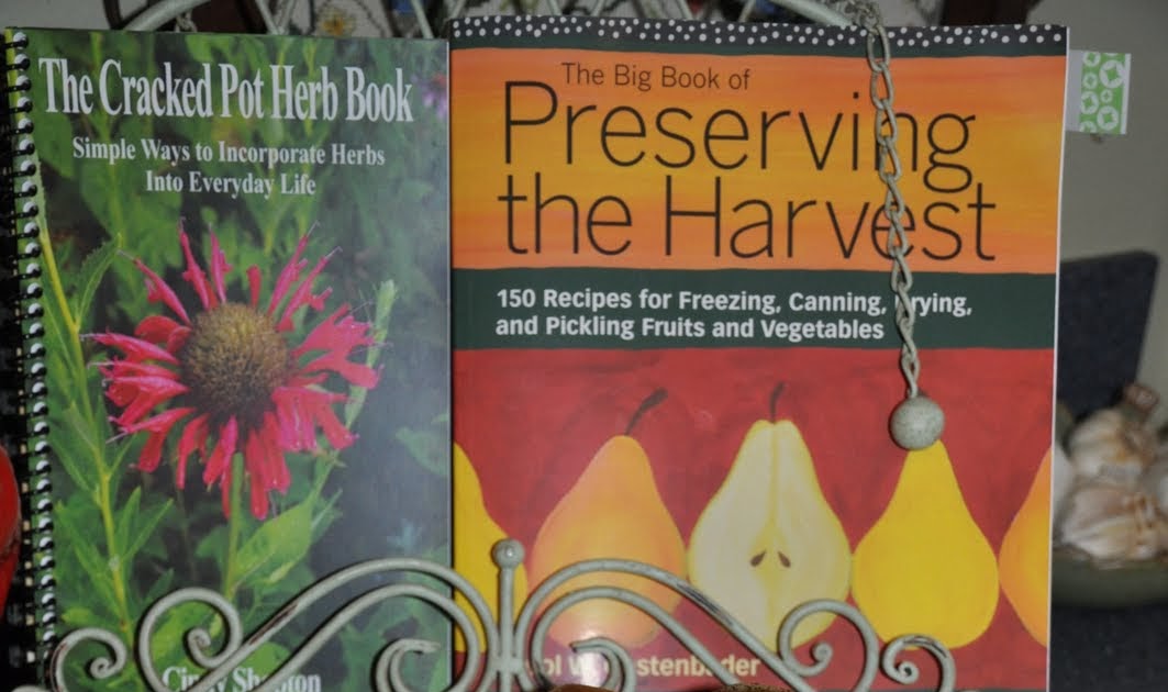 Cracked Pot Gardener Jarrahdale Pumpkin makes a Great Squash Pie