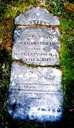 [C.YOUKER_BRADSHAW-web.jpg]