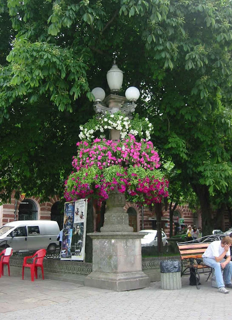 Ternopil Ukraine Flowerpots Everywhere