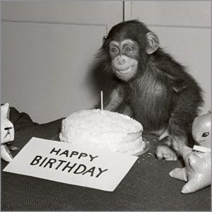 [1440191_Happy_Birthday_Chimp.jpg]