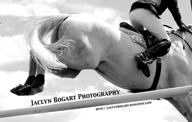 Jaclyn Bogart Photography