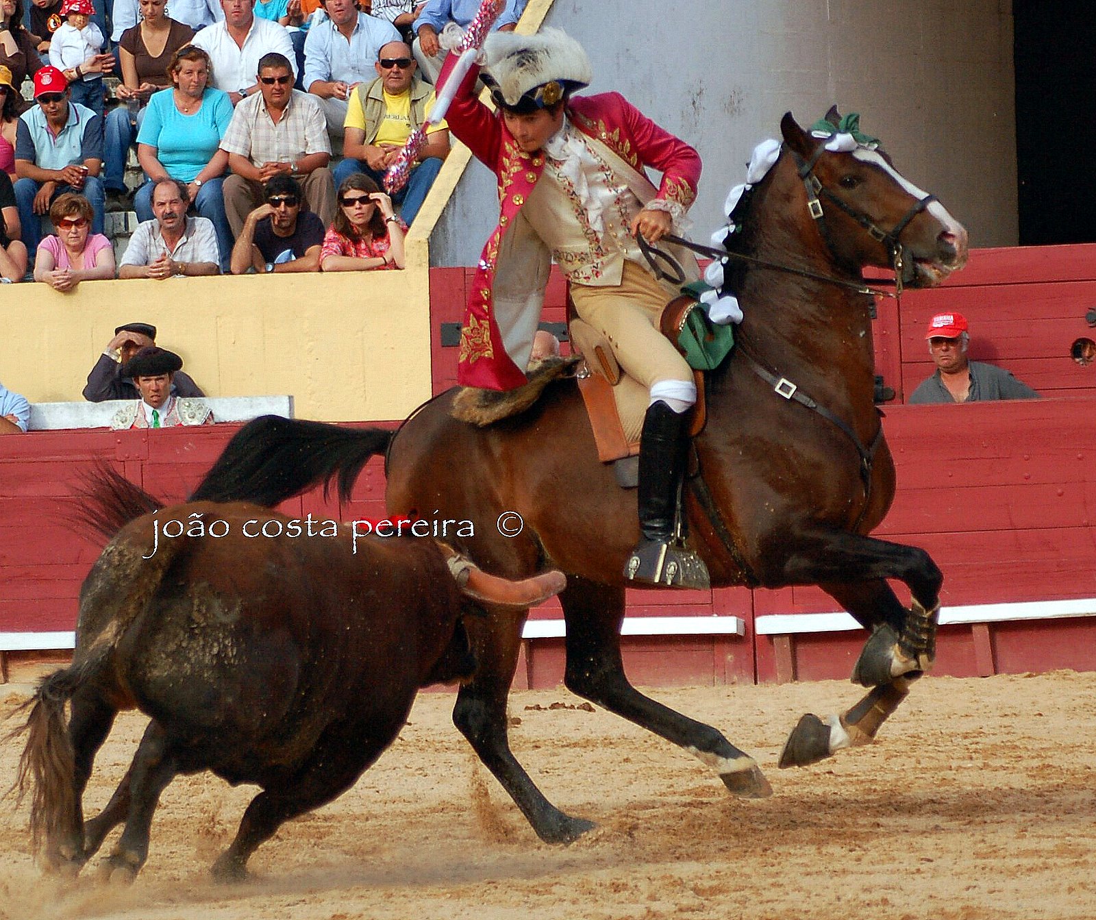 [DSC_1262.JPG]