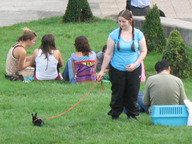 [IMG_1004.JPG]