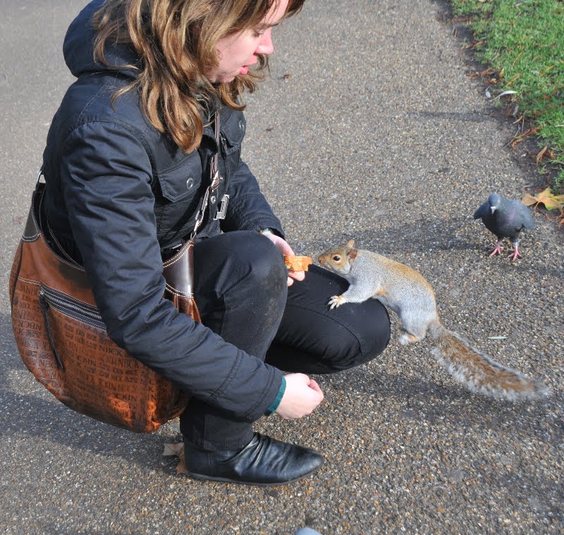 Country Bumpkin in the City Feeding Squirrels in London
