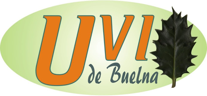 Unión Vecinal Independiente de Buelna