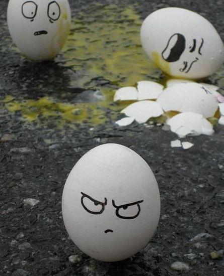 [egg10.jpg]