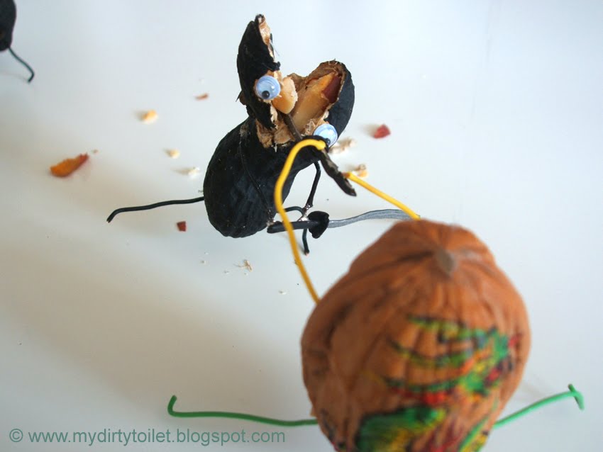 mydirtytoilet Ninja Nuts