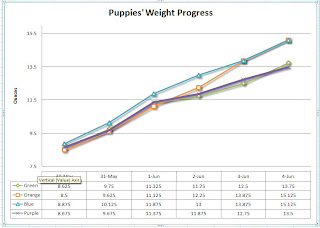 Westie Puppy Weight Chart