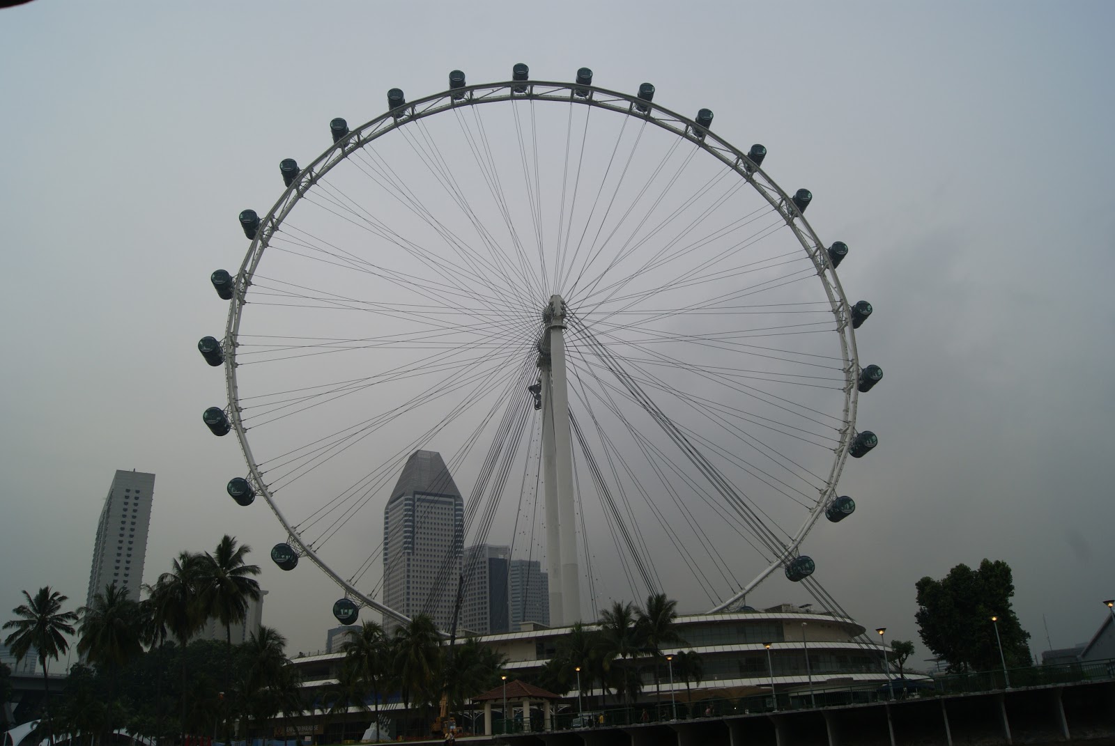 cartoon singapore flyer