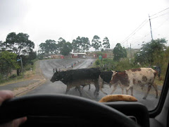 OBEYING RULES OF THE ROAD IN GAMALAKHE