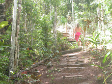 Caminho do Rio Trancoso