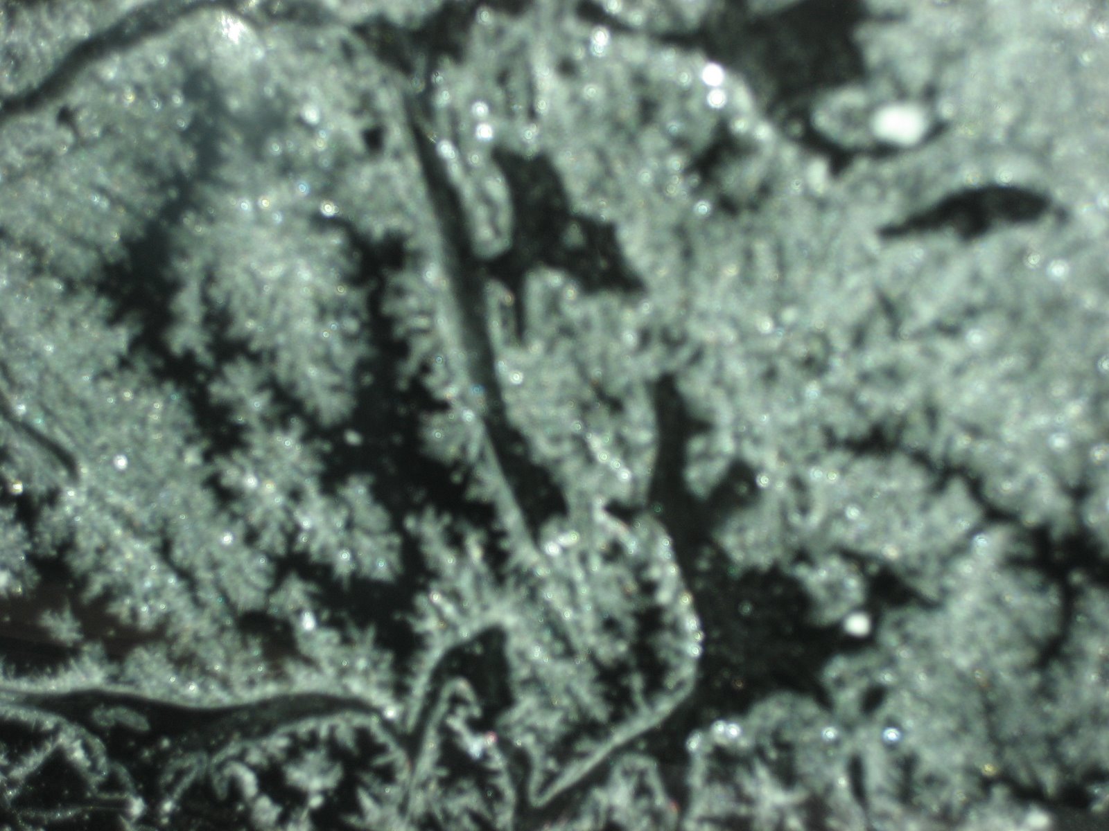 [ice+patterns+3.JPG]