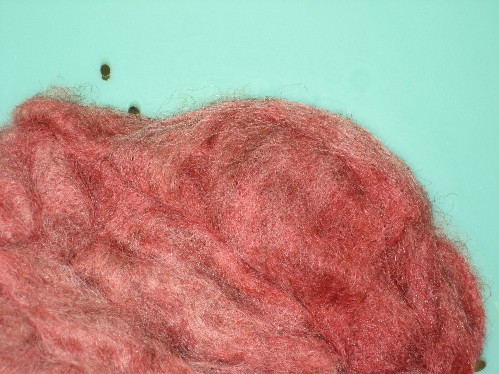 [dyeing+fiber+009.jpg]